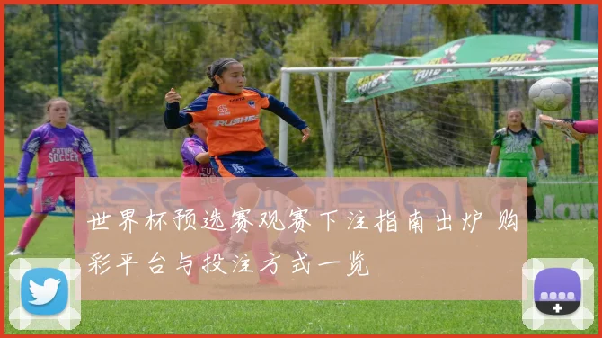 世界杯预选赛观赛下注指南出炉 购彩平台与投注方式一览