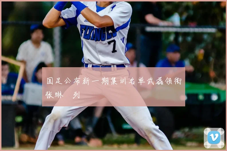 国足公布新一期集训名单武磊领衔张琳芃列