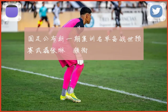 国足公布新一期集训名单备战世预赛武磊张琳芃领衔