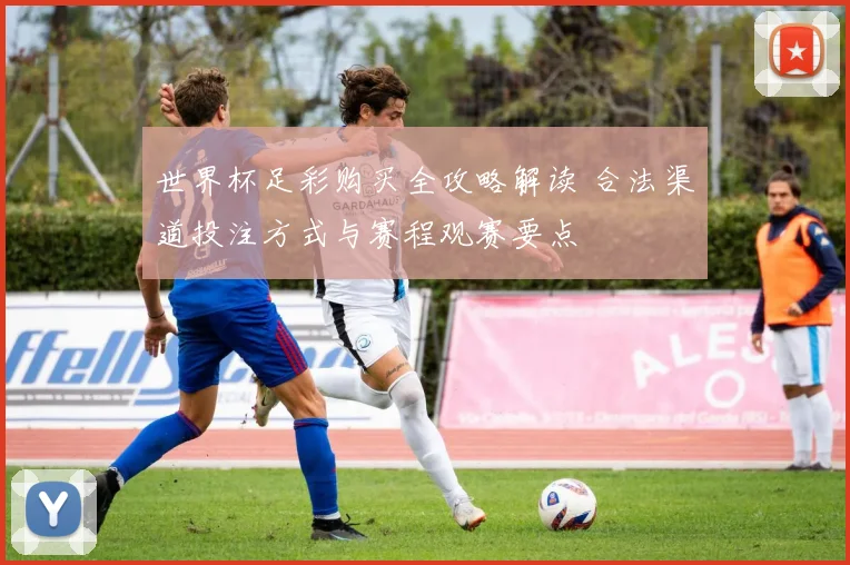 世界杯足彩购买全攻略解读 合法渠道投注方式与赛程观赛要点