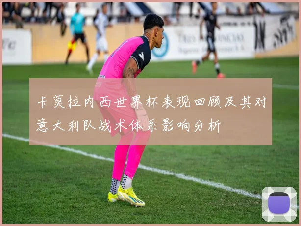 卡莫拉内西世界杯表现回顾及其对意大利队战术体系影响分析