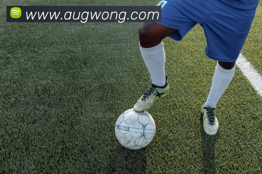 熊猫体育中国官方网站APP 封面图